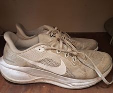 Men Nike Pegasus  41