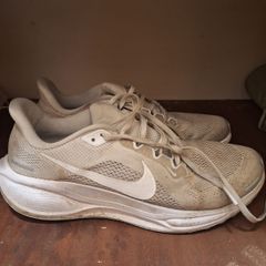 Men Nike Pegasus  41