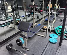 Domyos weights bench, preacher curl, lots of weights