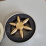 Brass fidget spinner Image 4