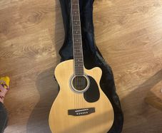 Aria acoustic guitar