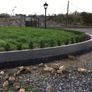 Box Hedging Image 2