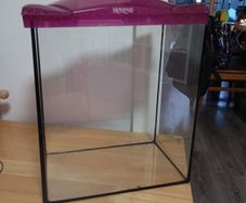 Fish Tank
