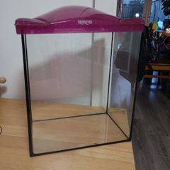 Fish Tank