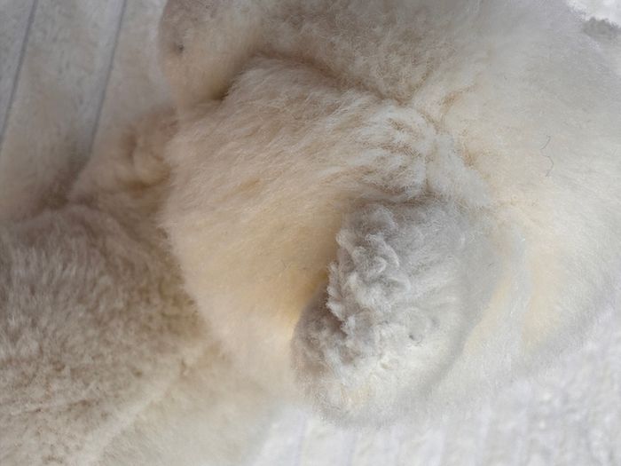 Pia Pia Club by Heinrich Bauer Germany white Bear Plush approx. 19 cm. Used Please see photos