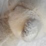 Pia Pia Club by Heinrich Bauer Germany white Bear Plush approx. 19 cm. Used Please see photos Image 6