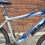 Adult Mountain Bike Image 2