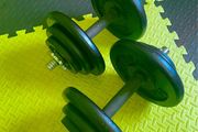 Cast iron dumbbells