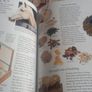 Pony care book Image 3