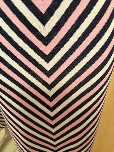 Women's Skirt Nwot Size L