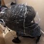 Joie Litetrax Stroller Image 5