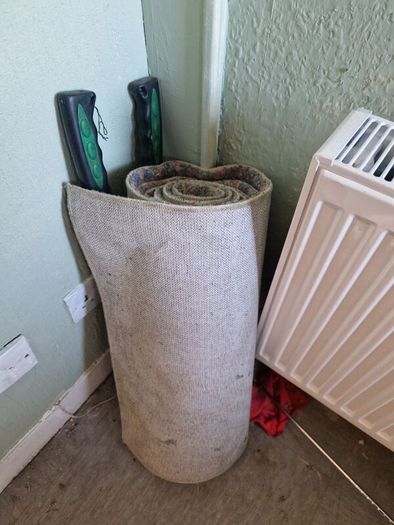 hall rug