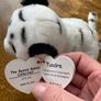 NEW Ty Beanie Babies - Tundra the White Tiger Image 5