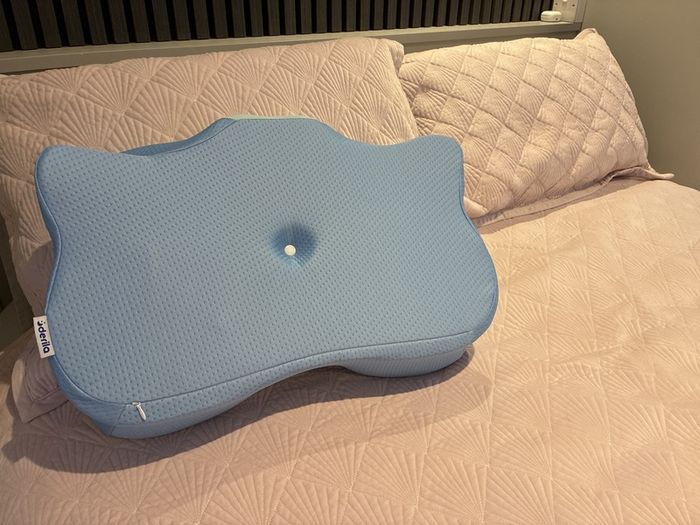 derila ergo pillow