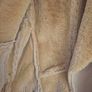 River island ladies Jacket Image 4