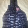 canada goose Image 2