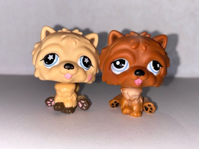 littlest pet shop (LPS) Chow chow bundle!