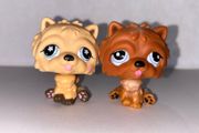 littlest pet shop (LPS) Chow chow bundle!