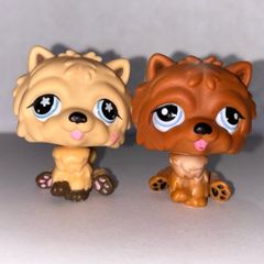 littlest pet shop (LPS) Chow chow bundle!