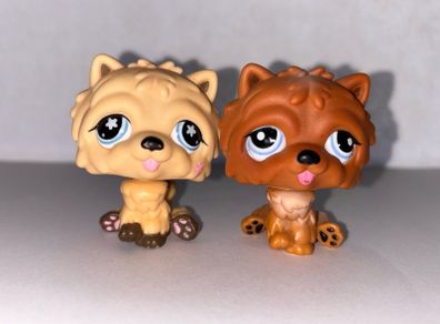 littlest pet shop (LPS) Chow chow bundle!