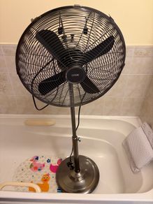 fan