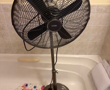 fan