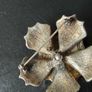 Vintage brooch Image 6
