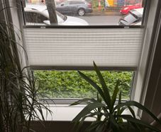 NEW - Pleated blind, white/top-down bottom-up