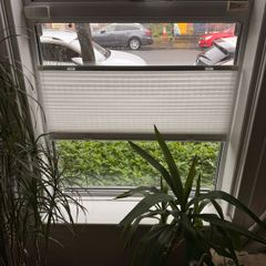 NEW - Pleated blind, white/top-down bottom-up
