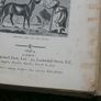 Antique Pages And Pictures From Forgotten Children's Books  1898-9 Image 3