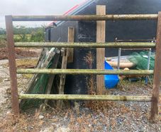 Livestock Cattle Crush, Pen Panel or Fence