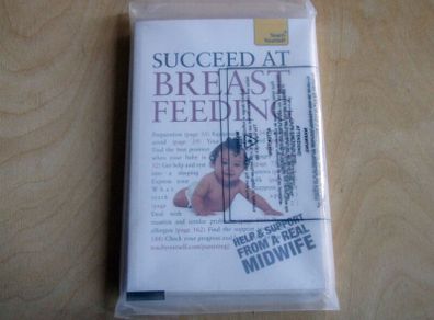 Succeed at Breastfeeding by Pauline Lim (Teach Yourself)