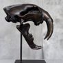 Sabre-Tooth Tiger Skull  - Bronze, Metal Stand, Signed Image 3