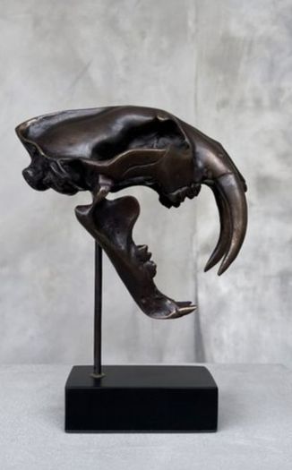 Sabre-Tooth Tiger Skull  - Bronze, Metal Stand, Signed
