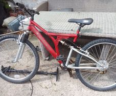 adult bike for sale
