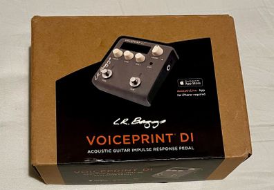 Lr baggs voice print DI