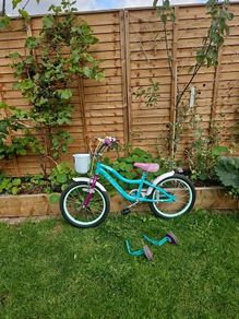 Girls Bike