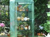Mini Greenhouse for Indoor Outdoor Small Plant Greenhouses 4 Tier Rack Stands, Portable Heavy Duty Garden Green House