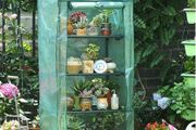 Mini Greenhouse for Indoor Outdoor Small Plant Greenhouses 4 Tier Rack Stands, Portable Heavy Duty Garden Green House