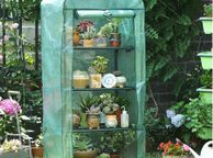 main image for ad Mini Greenhouse for Indoor Outdoor Small Plant Greenhouses 4 Tier Rack Stands, Portable Heavy Duty Garden Green House