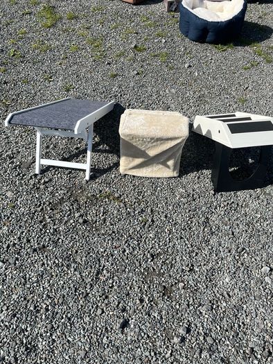 dog steps