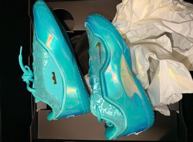Nike LeBron 23 honor the king