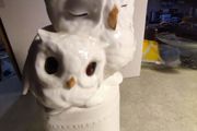 Royal Osborne White Bone China Ornament  Pair Of Owls / Mother &amp; Baby