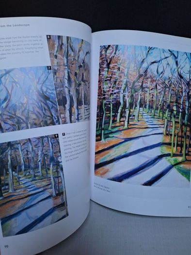 SALE!  OIL PAINTINGS from the LANDSCAPE - a guide for beginners by Rachel Shirley