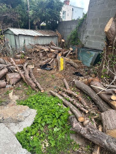free logs