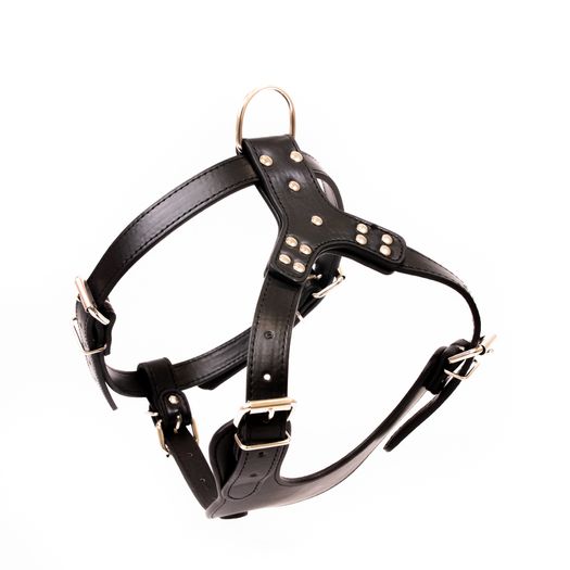 Leather Dog Harness