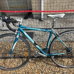 Ladies Trek Bike