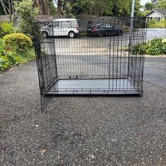 dog crate