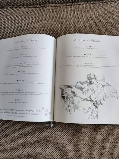 An Irish Woman's Book of Days 2012 hardback with dustcover in excellent condition 112 pages of Inspiration Verse and Celebration FREE STANDARD POSTAGE INCLUDED