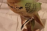 vintage ceramic budgie ( arklow  )